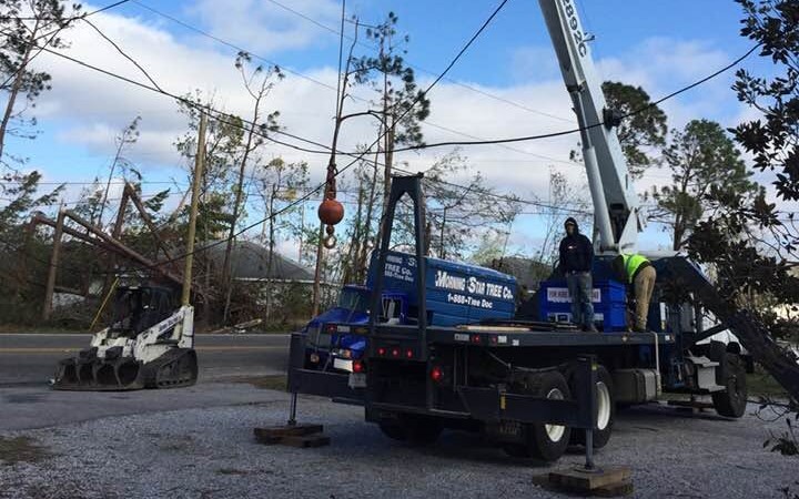 Morning Star Tree (888TreeDoc.com): 46-Year Master Arborist, Crane Extraction & Storm Command Platform