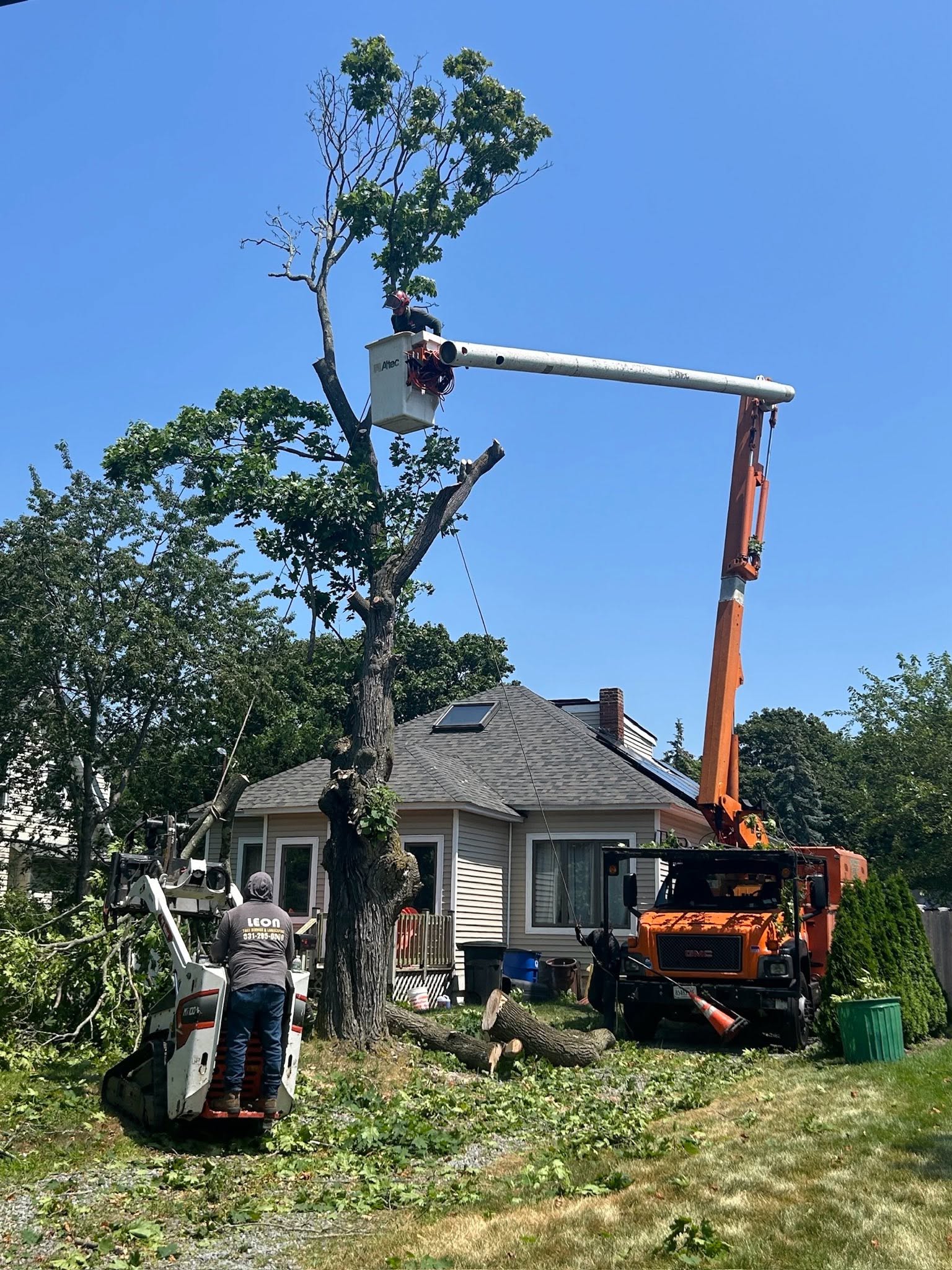 Canopy Health, Structural Pruning & Preservation